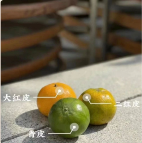 大紅皮、二紅皮、青皮 the three peels of Xinhui tangerine