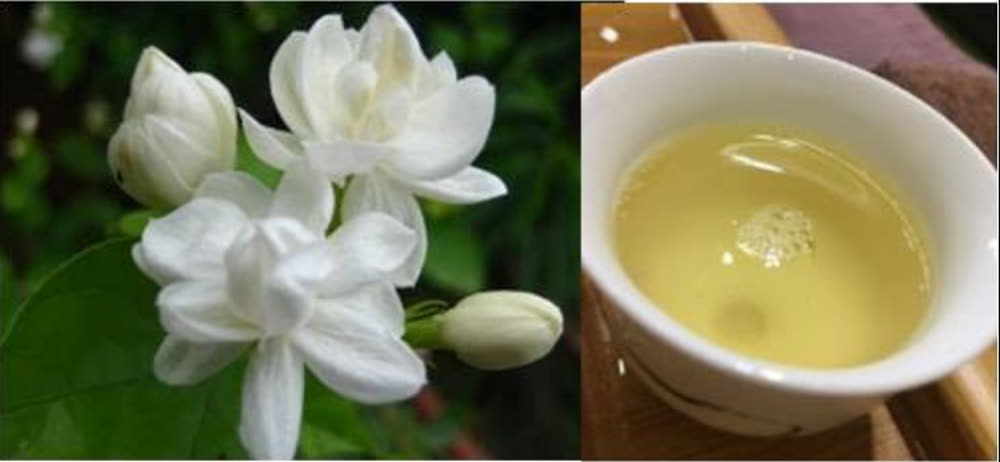 什麼是茉莉花茶 what is jasmine tea