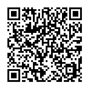 WhatsApp QR